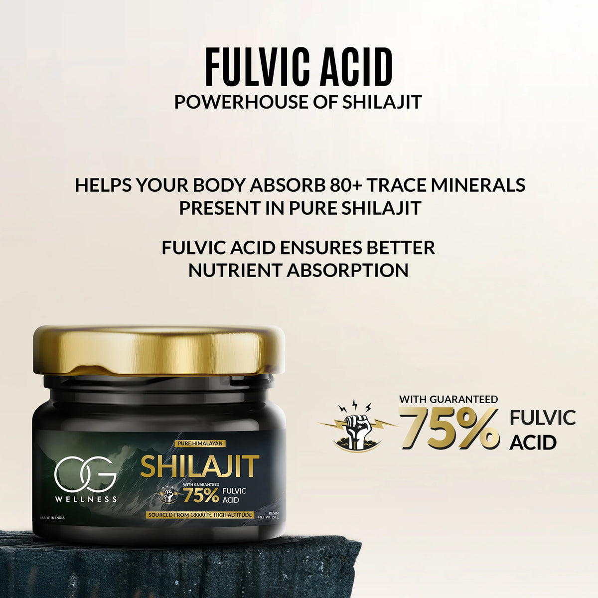 Og Wellness Pure Himalayan Shilajit Resin (20 Gm 1 Pc)