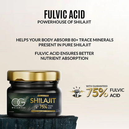 Og Wellness Pure Himalayan Shilajit Resin (20 Gm  1 Pc)