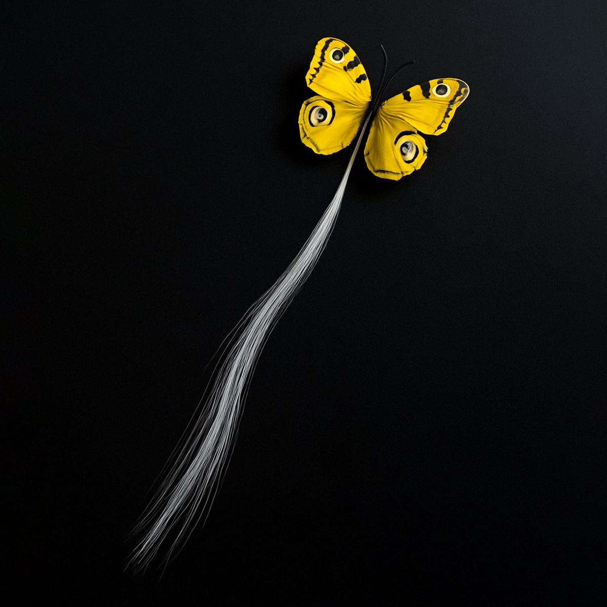 Led Butterfly Hair Braid Clip (Mix Color 1 Pc)