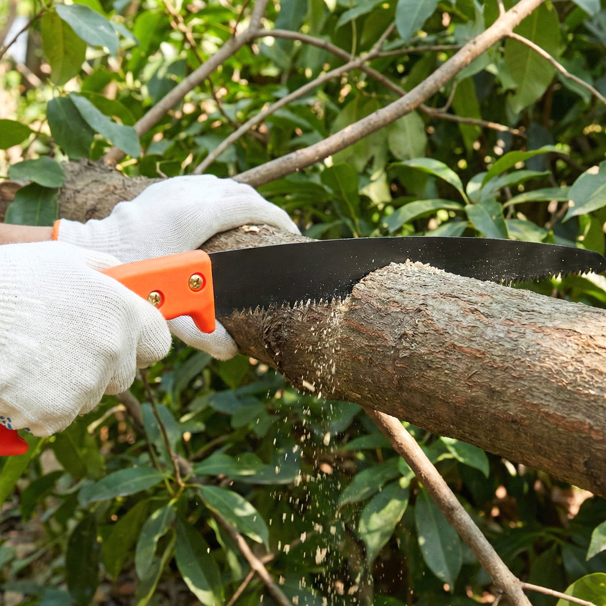 Heavy Duty Gardening Pruning Tool Combo Set (2 Pc Set)